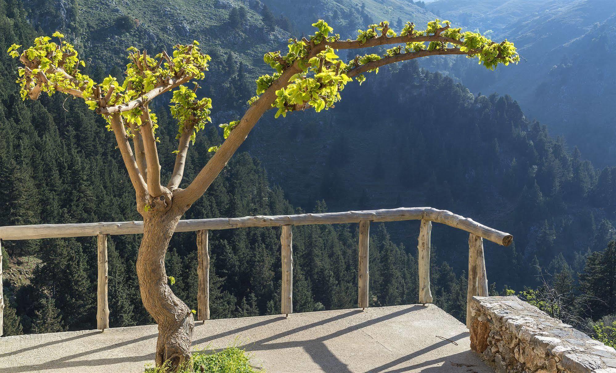 Apirathes Residence Zoúrva Екстериор снимка